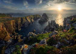 Zachód słońca, Morze, Skały, Kwiaty, Trawy, Hrabstwo Donegal, Przylądek Malin Head, Irlandia