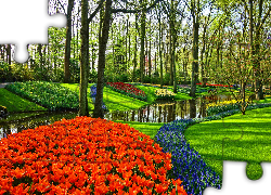 Park, Rabaty, Kolorowe, Kwiaty, Tulipany, Szafirki, Strumień, Drzewa, Wiosna