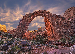 Skały, Łuk skalny, Kamienie, Rośliny, Rainbow Bridge, Utah, Stany Zjednoczone