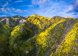 Góry, Rezerwat przyrody, Carrizo Plain National Monument, Kalifornia, Stany Zjednoczone