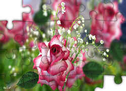 Kwiaty, Róża, Konwalie, Grafika