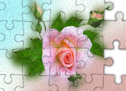 Różowa, Róża, Pąki, 2D