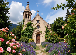 Kościół, Kwiaty, Róże, Lawenda, Drzewa, Krzewy