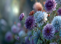 Niebieskie, Fioletowe, Chryzantemy, Kwiaty, Grafika, AI