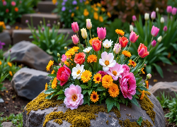 Kwiaty, Dalie, Róże, Tulipany, Gerbery, Liście, Kamienie, Mech