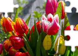Tulipany, Kolorowe, Kwiaty, Zbliżenie