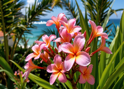 Plumeria, Kwiaty, Grafika AI