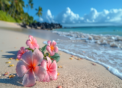 Plumeria, Kwiaty, Plaża, Morze, Grafika Kwiat