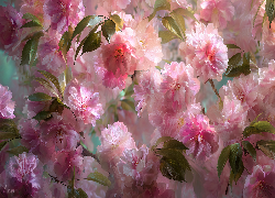 Różowe, Kwiaty, Wiśnia japońska, Grafika AI