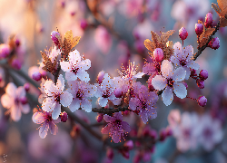 Różowe, Kwiaty, Drzewo owocowe, Grafika AI, Gałązka