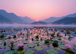 Wschód słońca, Jezioro, Mgła, Góry, Lilie wodne