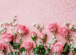Kwiaty, Różowe, Róże, Biała, Gipsówka, Różowe tło
