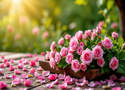 Różowe, Róże, Rozsypane, Płatki
