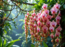 Wiszące, Różowe, Storczyki, Drzewo, Gałązki, Liście, AI