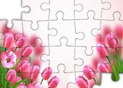 Kwiaty, Różowe, Tulipany, 2D