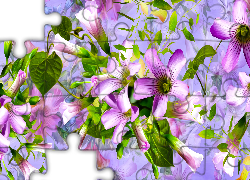 Drobne, Różowo-fioletowe, Kwiaty, Grafika