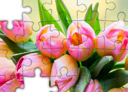 Kwiaty, Różowo-żółte, Tulipany, Liście