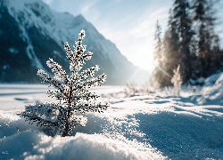 Iglasta, Gałązka, Śnieg, Słońce, Zima, Grafika AI