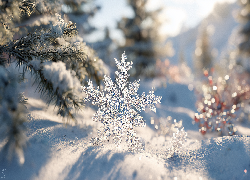 Śnieżynka, Śnieg, Gałązki, Śnieg, Grafika AI