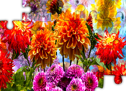 Kwiaty, Kolorowe, Dalie, Grafika