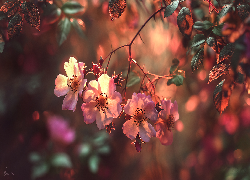 Dzika róża, Różowe, Kwiaty, Gałązki, Liście, Grafika AI