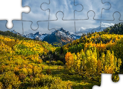 Jesień, Drzewa, Łąka, Góra, Mount Sneffels, Kolorado, Stany Zjednoczone