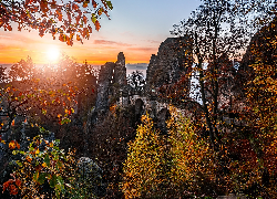 Drzewa, Jesień, Skały, Góry Połabskie, Park Narodowy Saskiej Szwajcarii, Saksonia, Niemcy