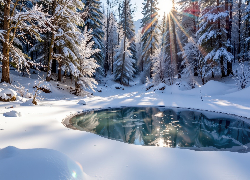 Zima, Las, Śnieg, Ośnieżone, Drzewa, Polana, Zaśnieżony, Staw