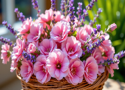 Różowe, Kwiaty, Lawenda, Koszyk