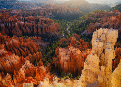 Stany Zjednoczone, Utah, Park Narodowy Bryce Canyon, Kanion, Skały, Drzewa