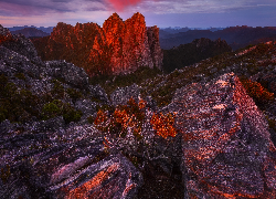 Wschód słońca, Skały, Szczyty, Góry, Krzewy, Arthur Range, Tasmania, Australia