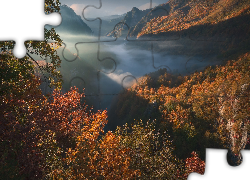 Jesień, Las, Drzewa, Góry, Wąwóz, Kanion Tary, Mgła, Park Narodowy Durmitor, Czarnogóra