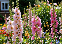 Malwy, Kwiaty, Ogród, Grafika AI