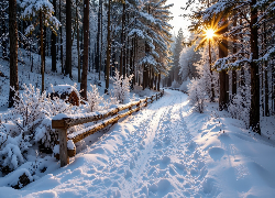 Zima, Las, Śnieg, Ośnieżona, Droga, Promienie słońca, Ogrodzenie