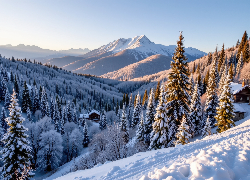 Zima, Las, Ośnieżone, Drzewa, Domy, Śnieg, Góry