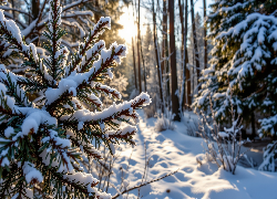 Zima, Ośnieżone, Gałązki, Drzewa, Las, Poranek, Grafika AI