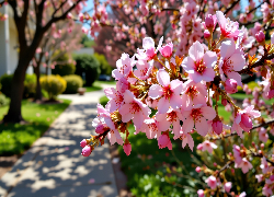 Kwiaty, Gałązka, Grafika AI