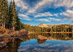 Las, Drzewa, Kamienie, Jezioro, Brainard Lake, Kolorado, Stany Zjednoczone