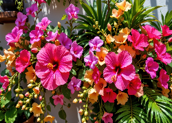 Kwiaty, Hibiskus, Grafika AI