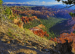 Góry, Skały, Drzewa, Trawa, Bryce Canyon, Park Narodowy Bryce Canyon, Utah, Stany Zjednoczone