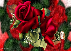 Róże, Kwiaty, Grafika