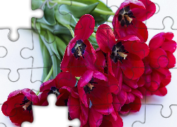 Bukiet, Czerwone, Tulipany