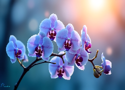 Liliowy, Storczyk, Orchidea, Kwiaty, Grafika AI