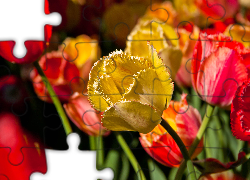 Kwiaty, Tulipany, Żółty, Rozwinięty