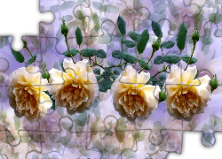 Kwiaty, Cztery, Róże, Grafika