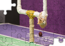 Rudy, Kotek, Sznury, Zabawa