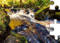 Anglia, Hrabstwo Yorkshire, Las Valley Of Desolation, Rzeka, Omszałe, Kamienie, Rośliny