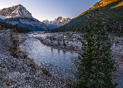 Góry Skaliste, Rzeka, Athabasca, Drzewa, Park Narodowy Jasper, Kanada