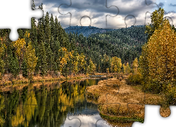 Jesień, Rzeka, Coeur dAlene River, Drzewa, Las, Góry, Hrabstwo Kootenai, Idaho, Stany Zjednoczone