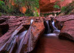 Skały, Rzeka, Coyote Gulch, Krzewy, Utah, Stany Zjednoczone